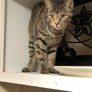 Meet your Posher, Carla